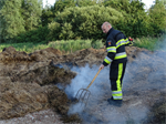 Prio 2 Berm Ruigte Brand De Miedwei Twijzel